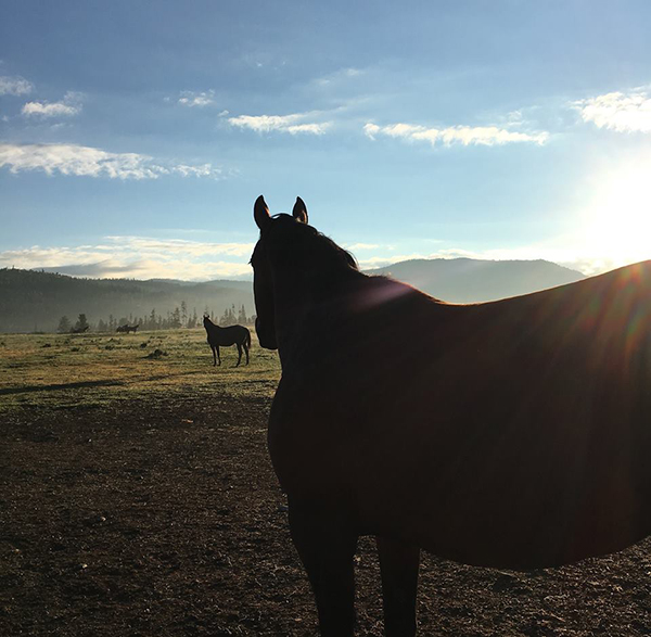 Vista Verde Ranch sunrise