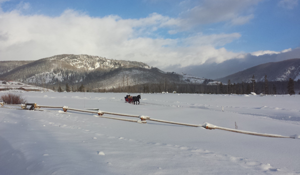 Vista Verde Horseback Riding Snow