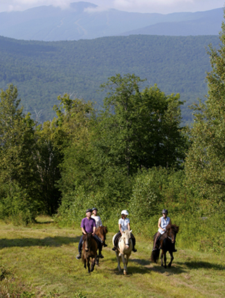 Vermont Icelandic Horse Farm