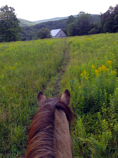 Vermont Icelandic Horse Farm barn and horses