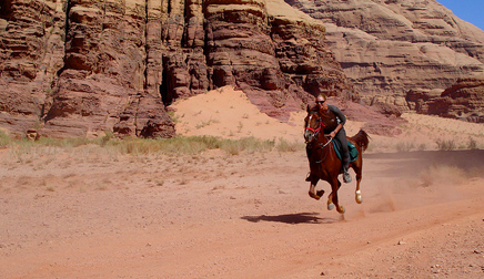 Wadi Rum horseback