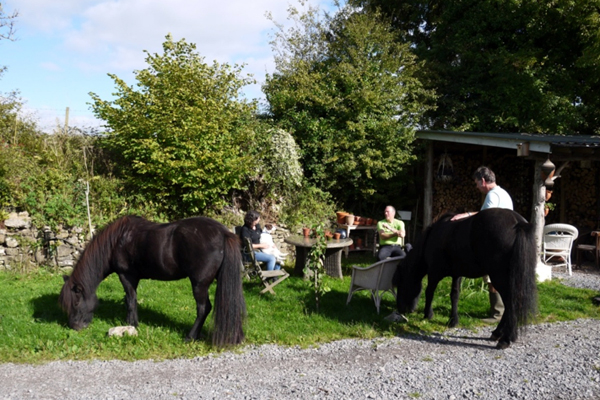 wales gower horseback riding vacations