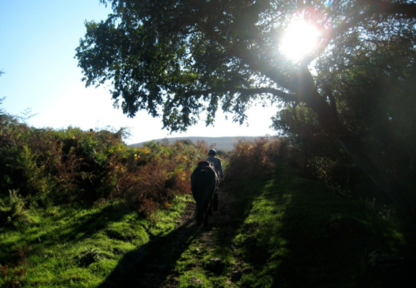 wales gower horseback