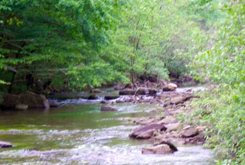 Water crossing Cowboy Up Trails Arkansas