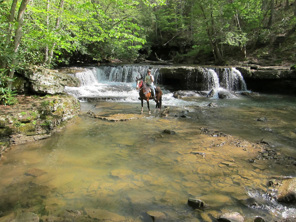 trail ride to a waterfall at camp creek state park and forest west virginia 