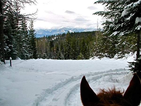 western pleasure ranch horseback riding in the snow