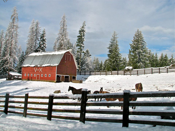 western pleasure ranch snow