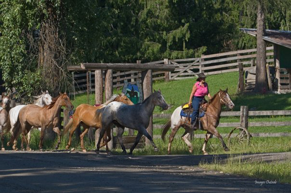 western pleasure guest ranch idaho