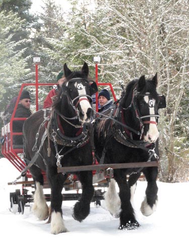 western pleasure guest ranch sleigh ride