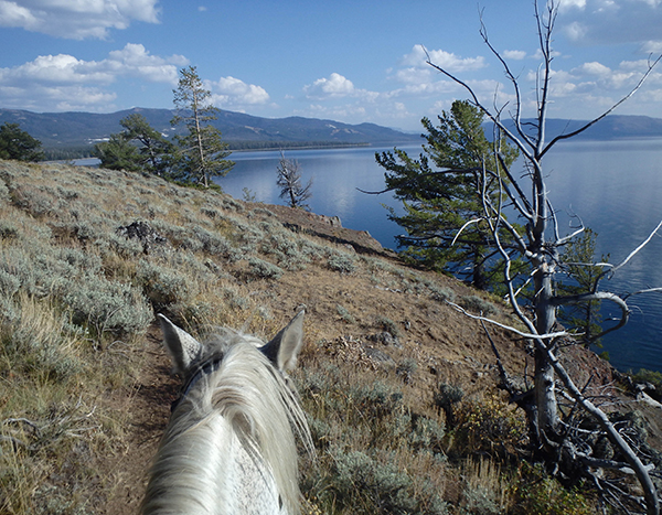 between the ears view from horseback of yelllowstone national park 