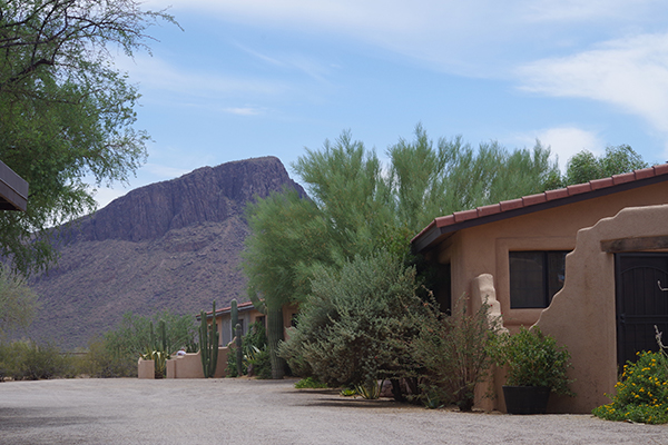 White Stallion Ranch Arizona Vacations