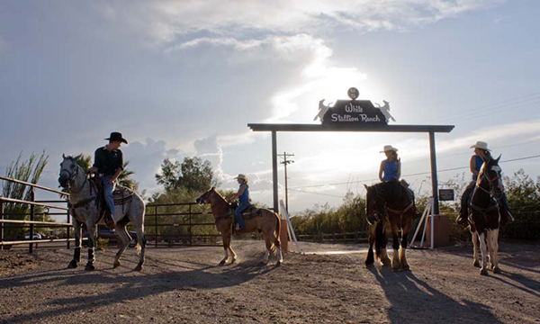 White Stallion Ranch New Years Eve