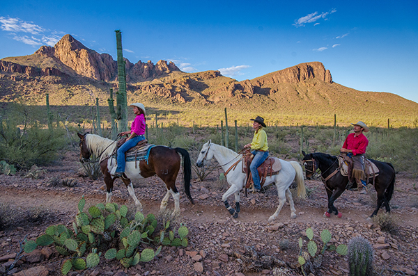 White Stallion Ranch Arizona