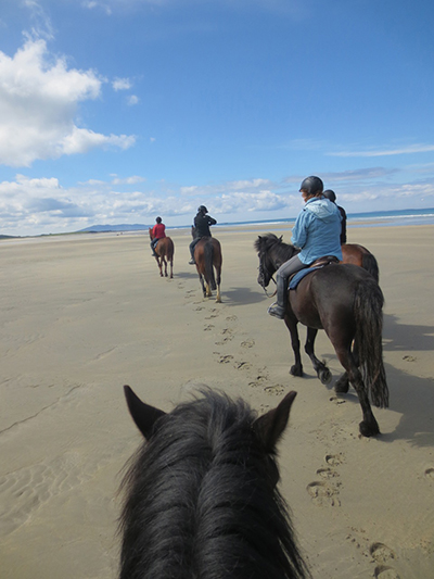 wild atlantic way ireland equestrian vacations