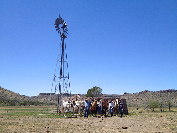 texas horseback windmill