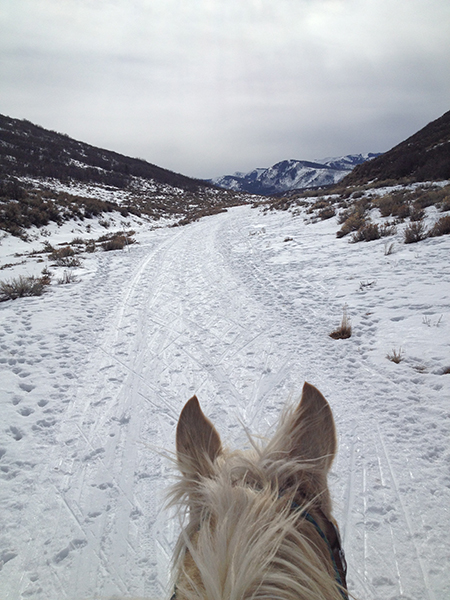 trail ride almosta ranch horse adventures utah