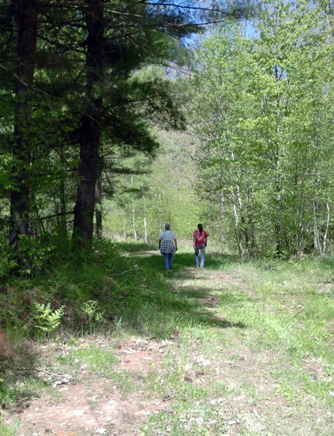 barron country horse trails