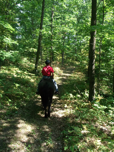 wisconsin narrow gauge horse trails