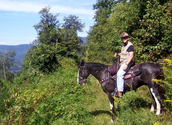 wolf ford horseback riding pisgah