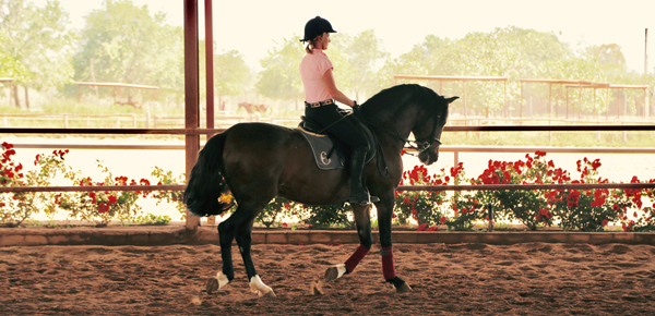 jan norman riding at epona equestrian center spain