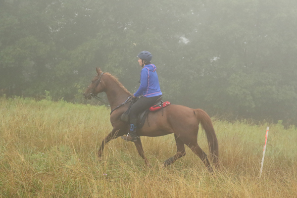 woman riding horse through the grass