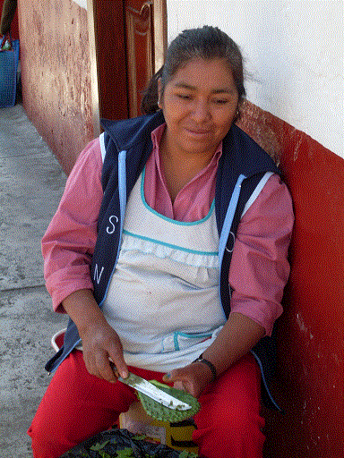 woman selling cactus rancho las cascadas