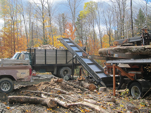 wood cutting season in maine