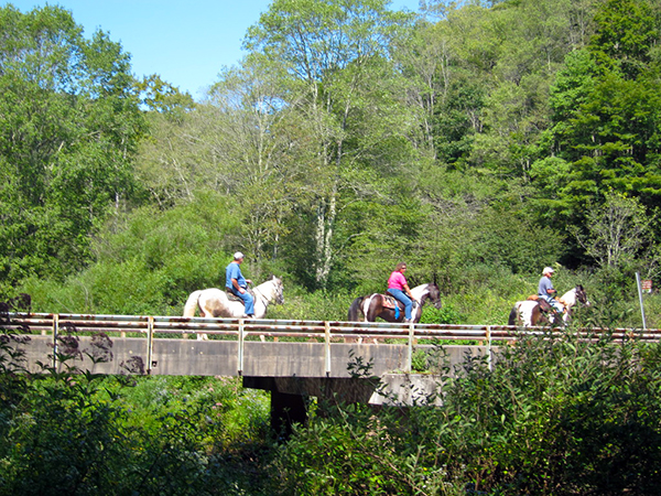 West Virginia horseback trails national forest