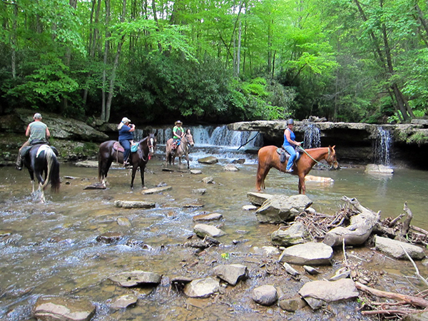 WV Waterfalls horseback riding trails