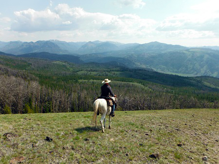 wyoming horseback riding t cross ranch