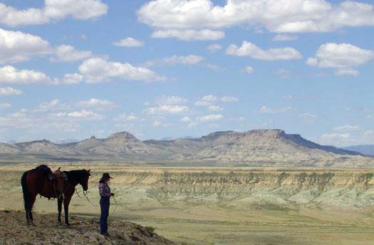 wyoming views horseback