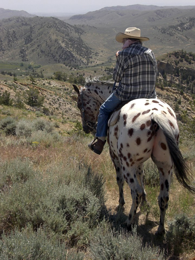 nate brown horseworks wyoming