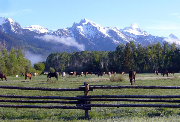 wyoming dude ranches