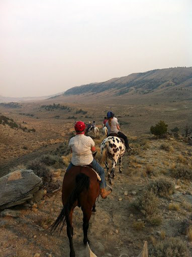 wyoming horse riding ranches horse works