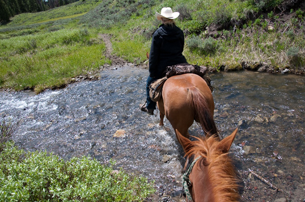 yellowstone national park horseback