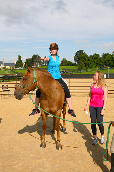 yoga equestrian virginia