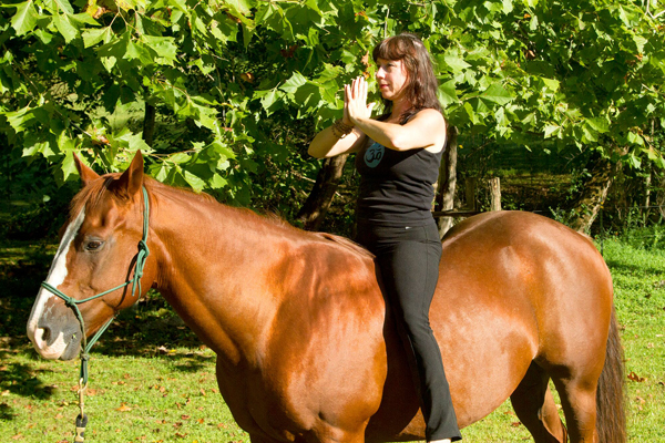 Yoga on Horses