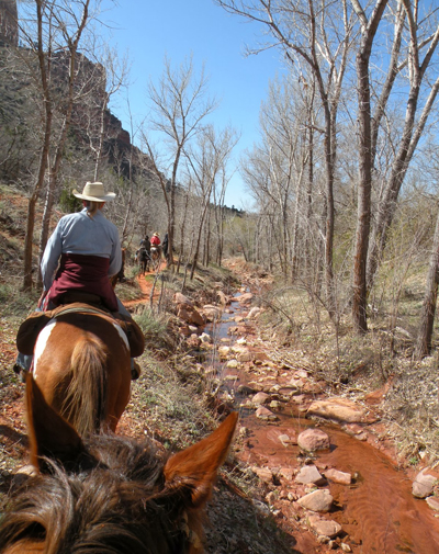 zion horseback adventure