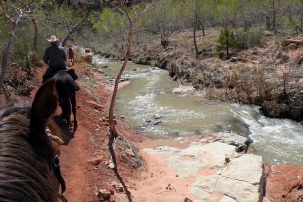 zion horseback trails