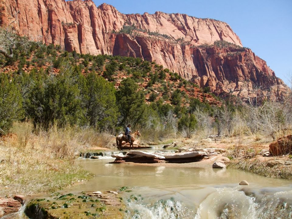 zion national park horse trails