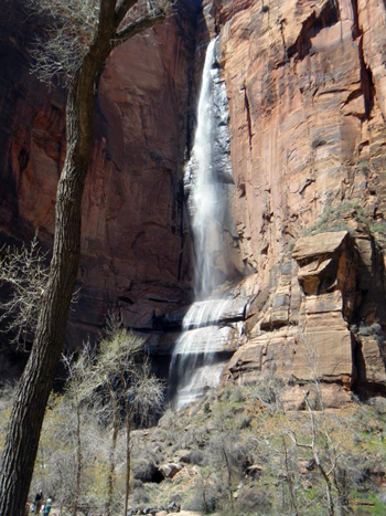 Zion waterfall