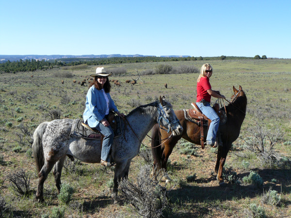 Zion horse riding